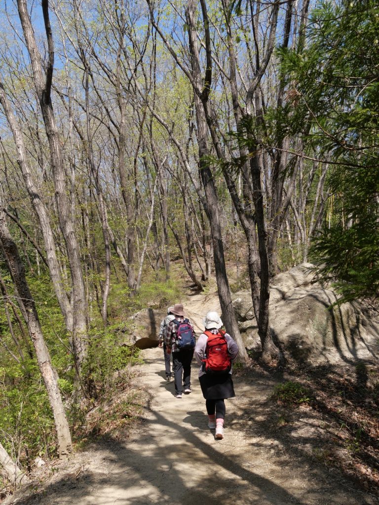 木漏れ日の中を歩きます
