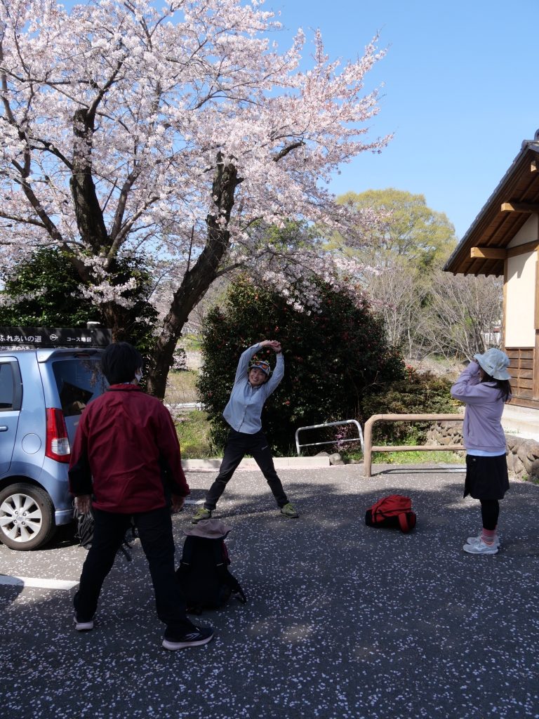 サクラの満開の下で体操