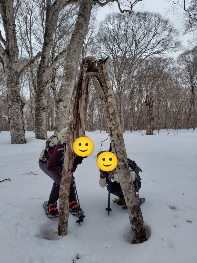 ブナ平でかくれんぼ