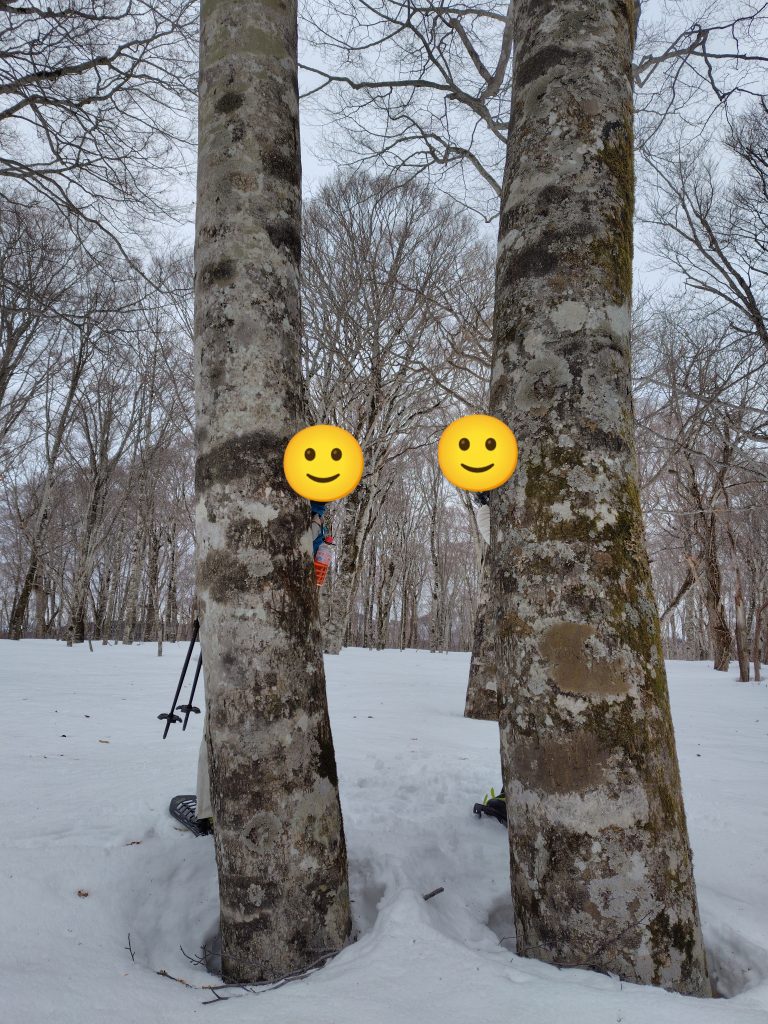 ブナ平でかくれんぼ