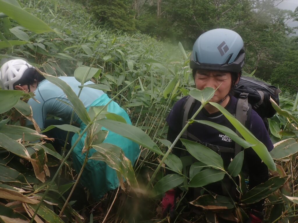 笹薮にやられて渋い顔