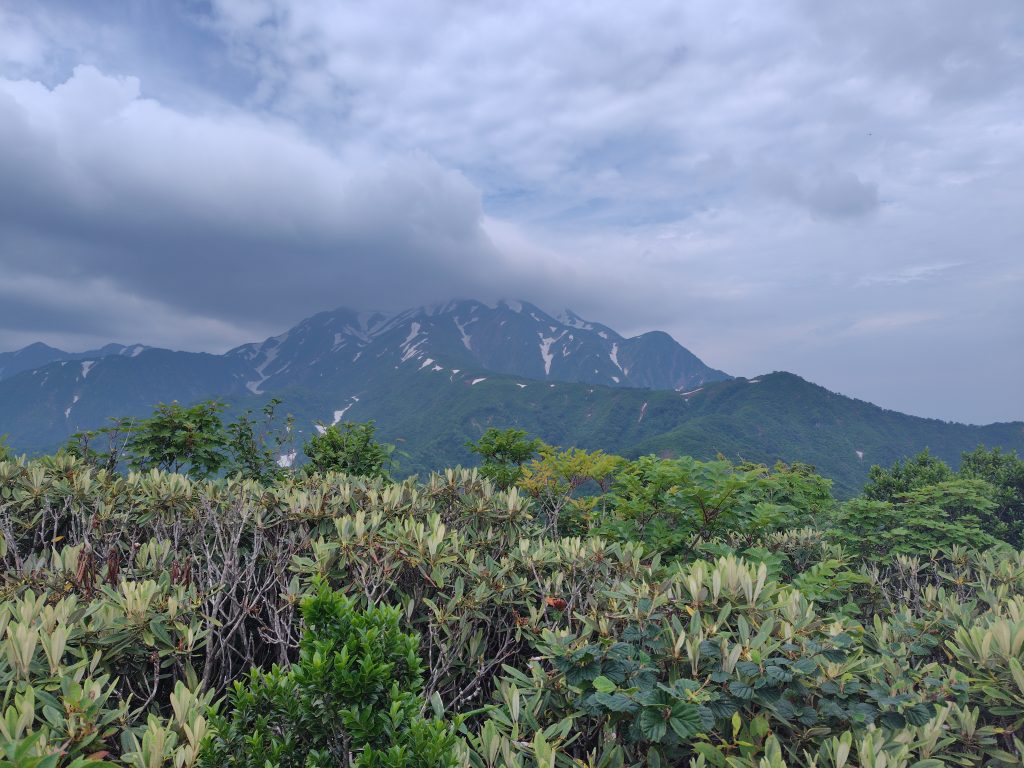 道行山からの越後駒ケ岳