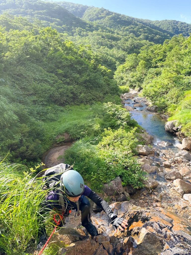 魚留滝から下部を眺める