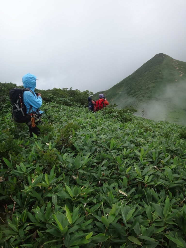 小ピークを目指す登り返し