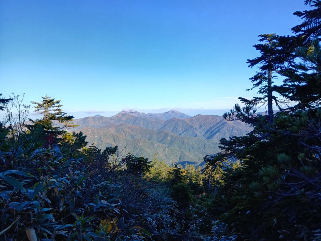 中の岳と越後駒ケ岳が見える