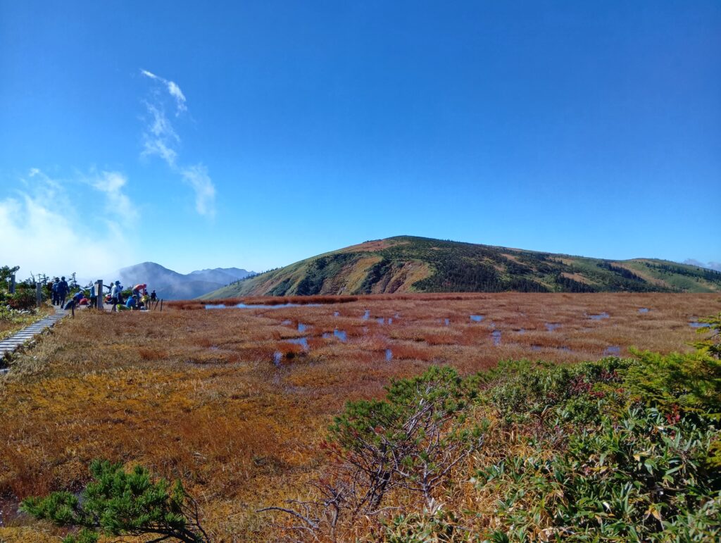 姫の池から山頂方面を見る