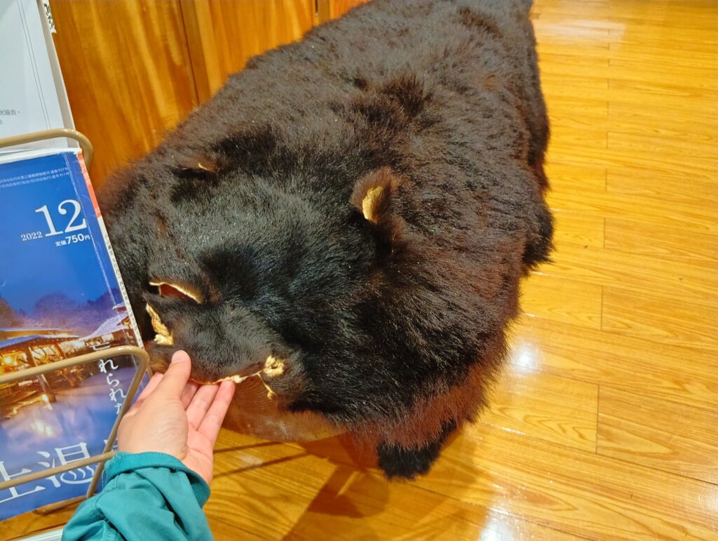 クマの敷物