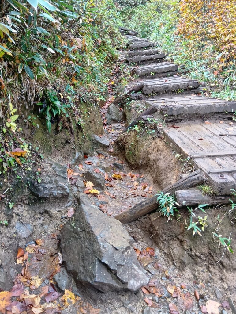 ステップの横は踏みつけで道が広がっている
