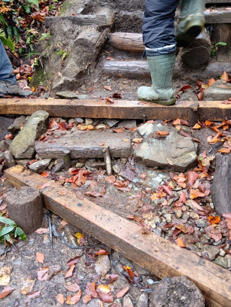 1カ月半経った施工個所