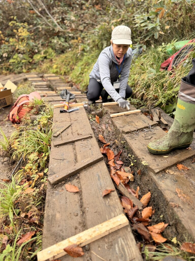 木道の桟木、古いクギを抜いて新しく打ち直す