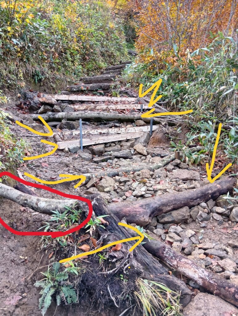 8段のステップができました