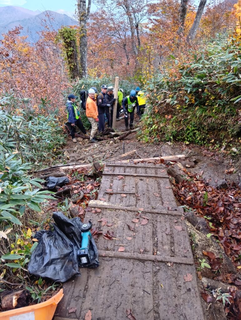 歩きやすそうに見える施工後のステップ