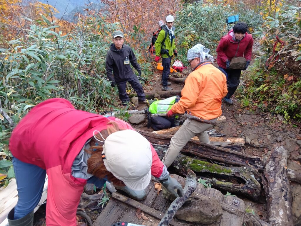 倒木や土砂を詰めてステップのスキマを埋める