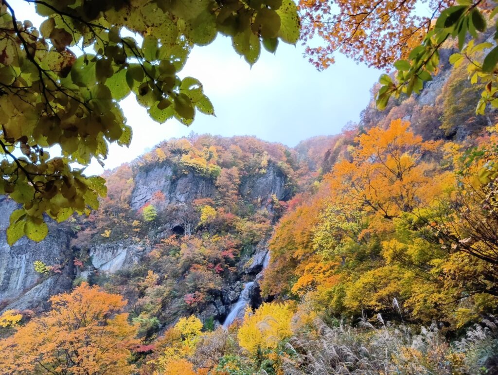 渓谷の滝と鮮やかな紅葉