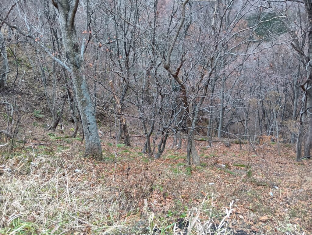 駐車スペース足元に散乱するゴミ