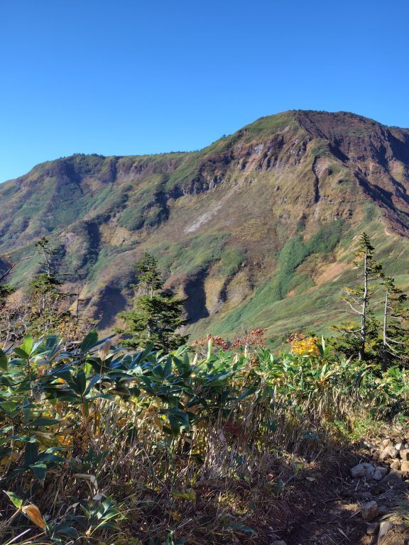 水場付近より山頂台地をのぞむ