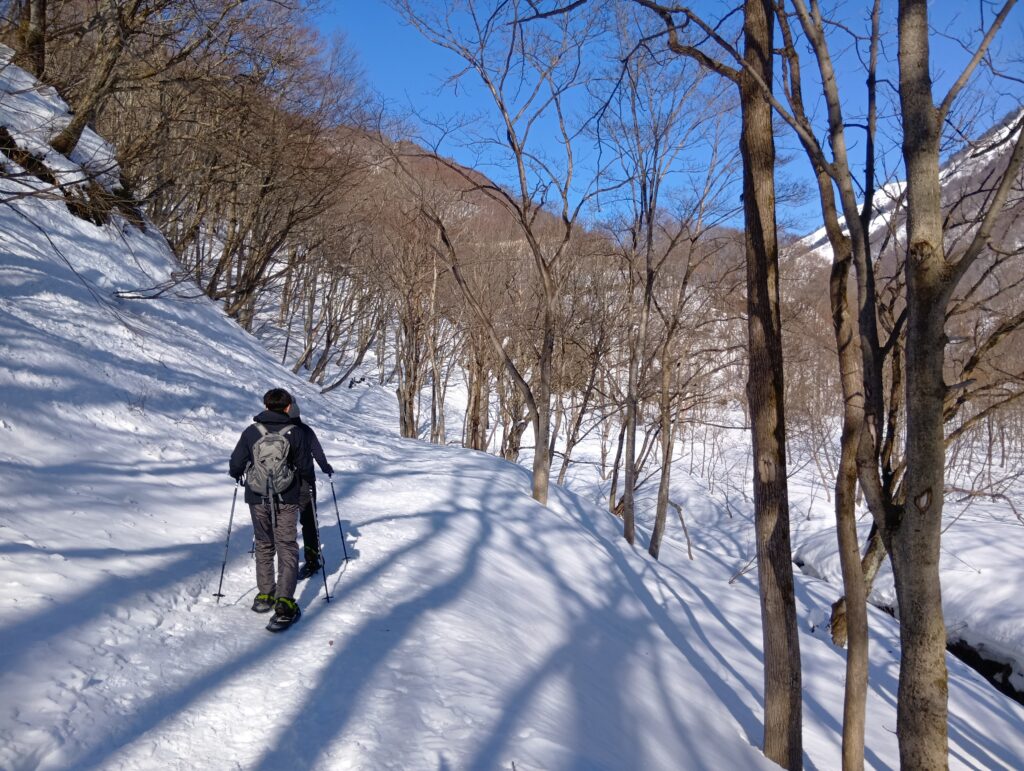 スノーシュー歩き始め
