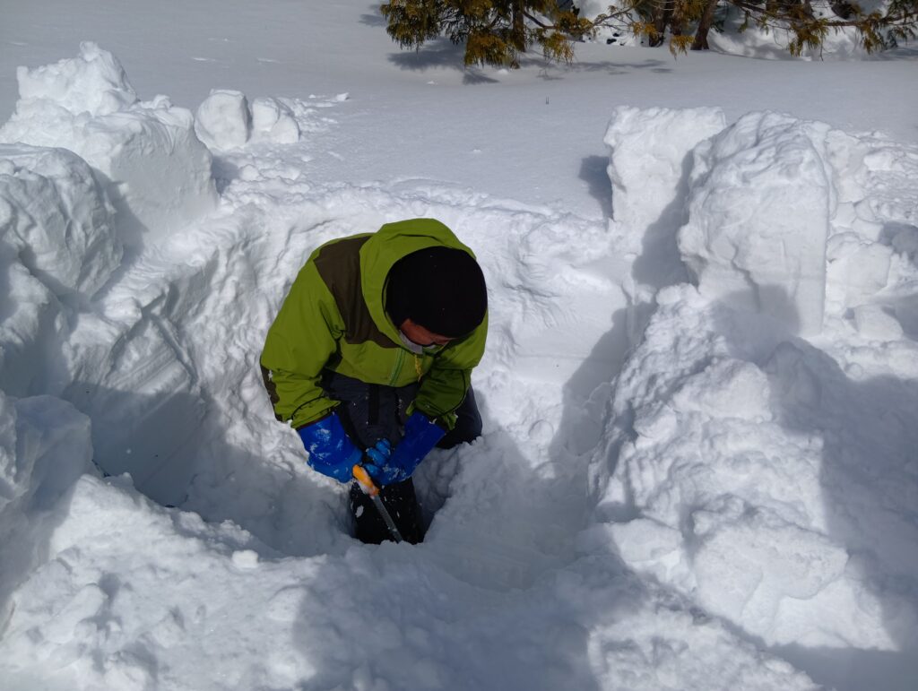 イグルースキーさんのデモ