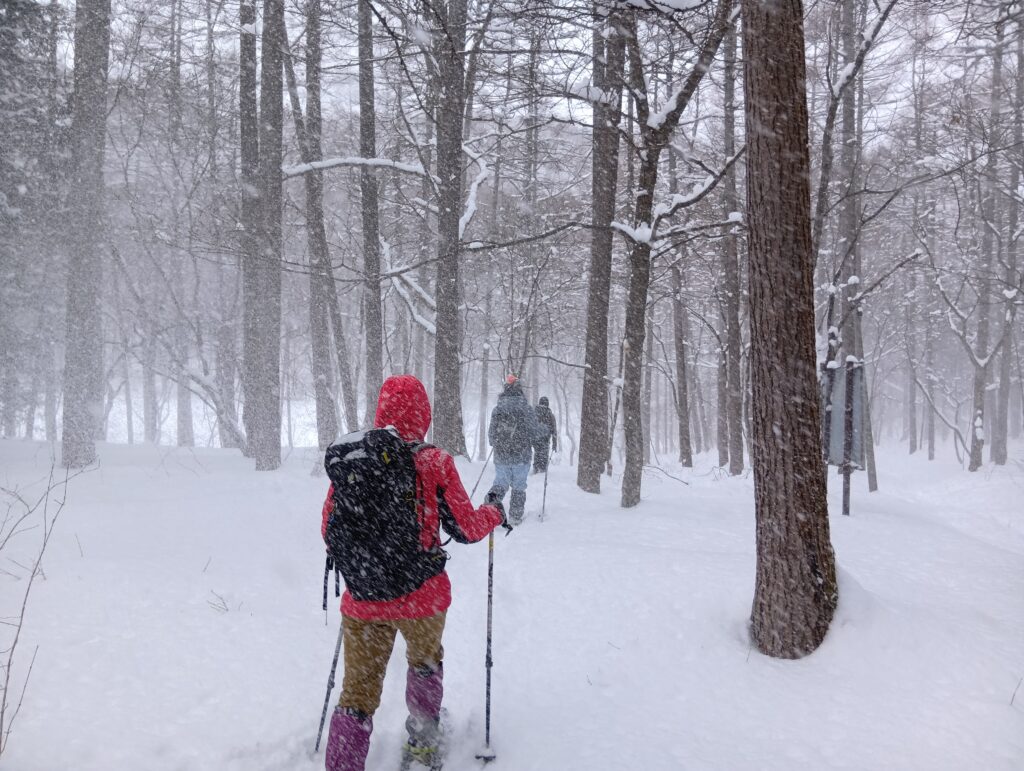 風が吹くと雪が降りかかってくる