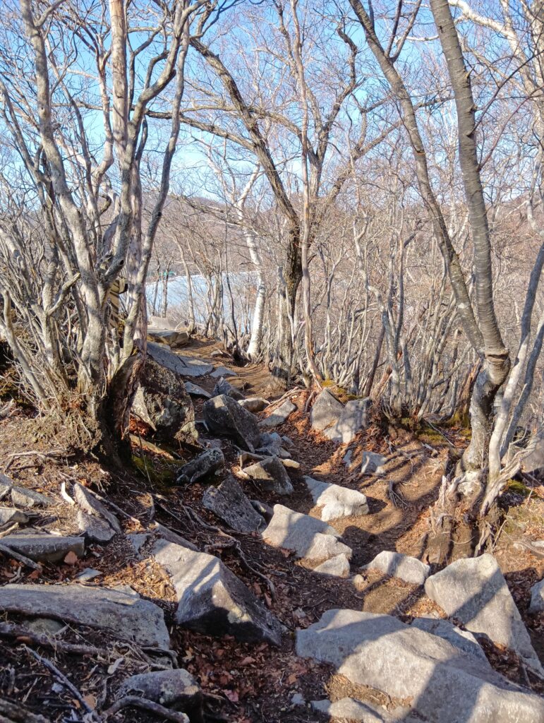 黒檜山への登山道