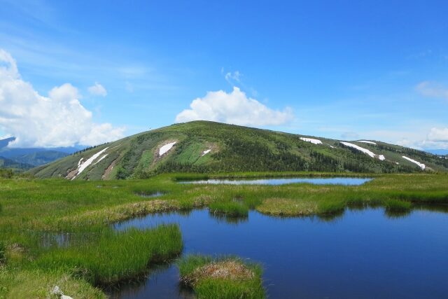 平ヶ岳の夏
